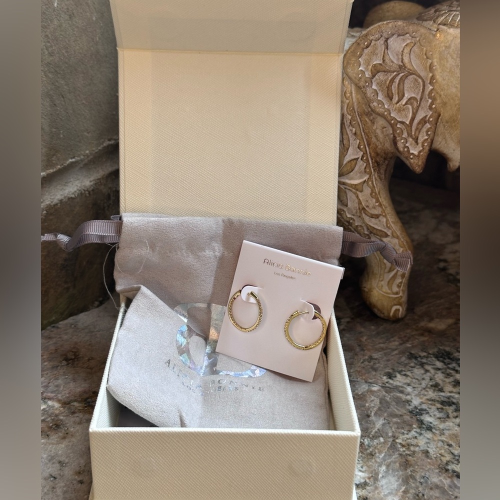 Alicia Bonnie Gold CZ Hoop Earrings
